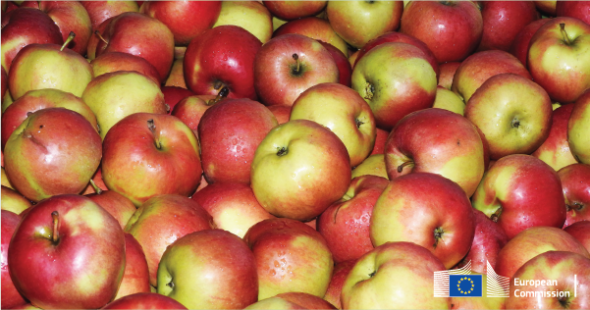 dgt_pl-en_3_shareables_01_facebook_600x315px_4